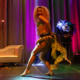 Nia Francesca Burlesque Show "Josephine Baker Bananentanz".